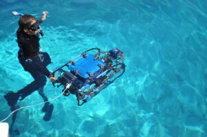 SONIA-2010-ssub Sub 2010